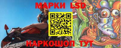 амф Рыбинск