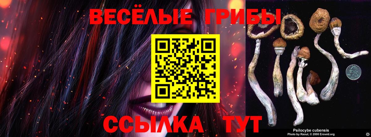 Псилоцибиновые грибы Psilocybe  Вход с VPN  Сарапул 